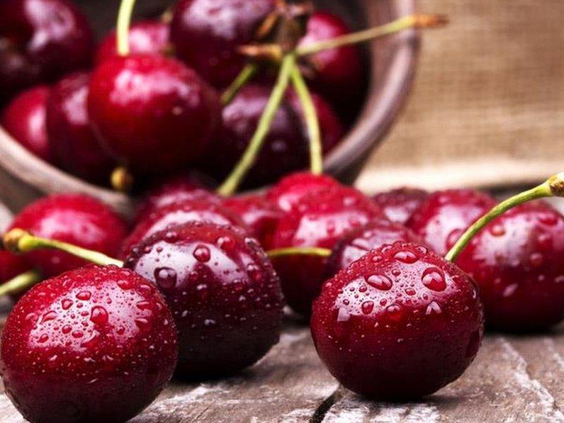 Вишня купить саженцы из питомника в Ленинске-Кузнецком